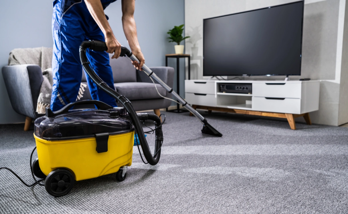 Extract Carpet Repair Magpie Contact Office